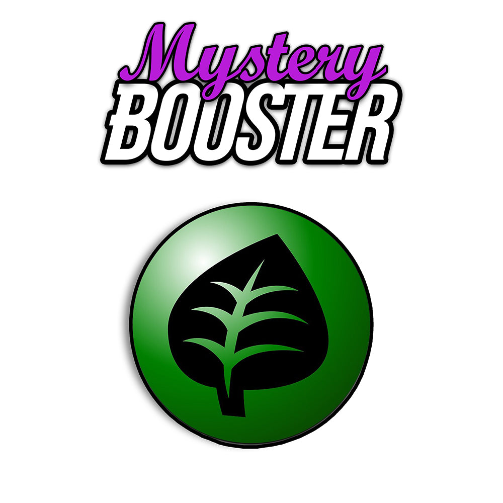 Kiosk Mystery Booster (Japanisch)